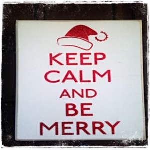 merry christmas front door